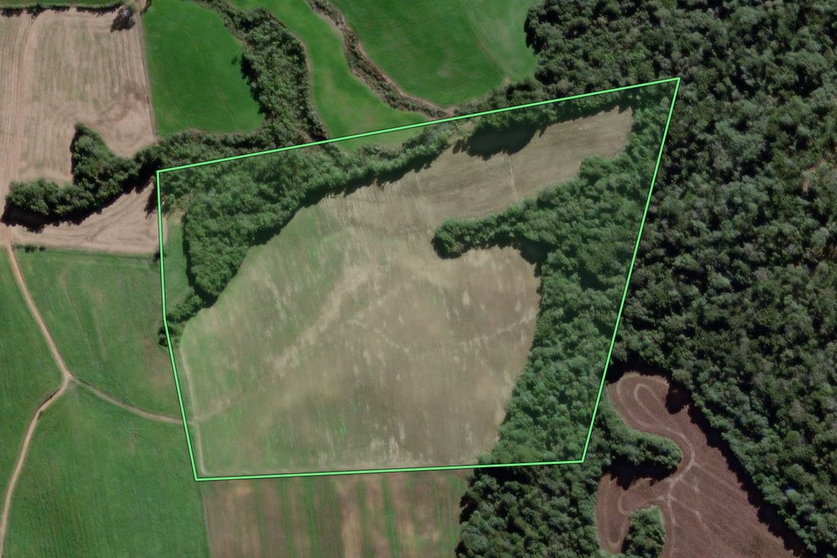 Imagem de satélite do imóvel rural em São João do Triunfo (PR), com o contorno declarado no CAR desenhado por cima.