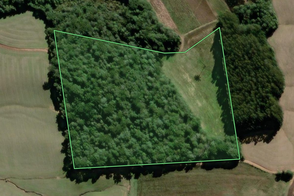 Imagem de satélite do imóvel rural em São João do Triunfo (PR), com o contorno declarado no CAR desenhado por cima.