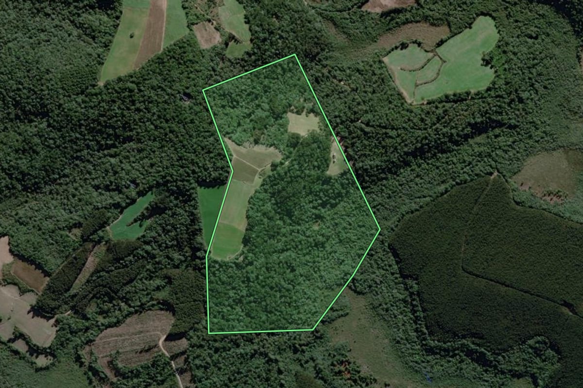 Imagem de satélite do imóvel rural em São João do Triunfo (PR), com o contorno declarado no CAR desenhado por cima.