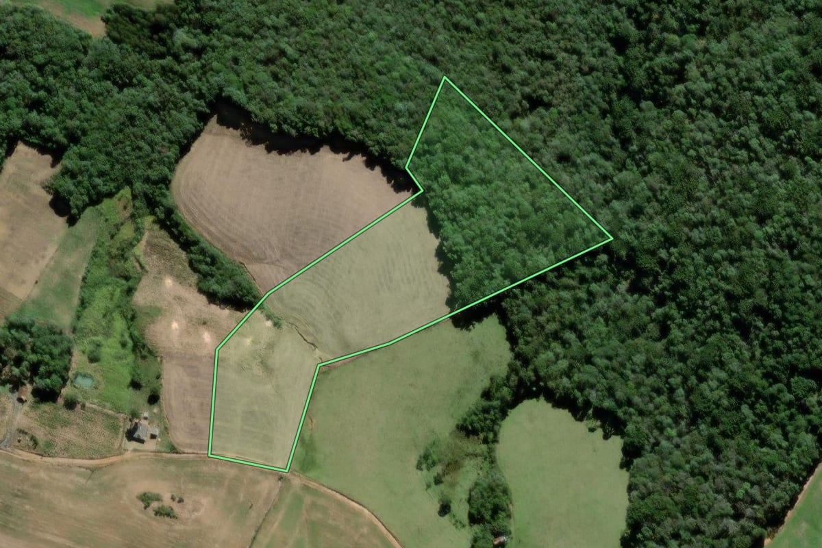 Imagem de satélite do imóvel rural em São João do Triunfo (PR), com o contorno declarado no CAR desenhado por cima.