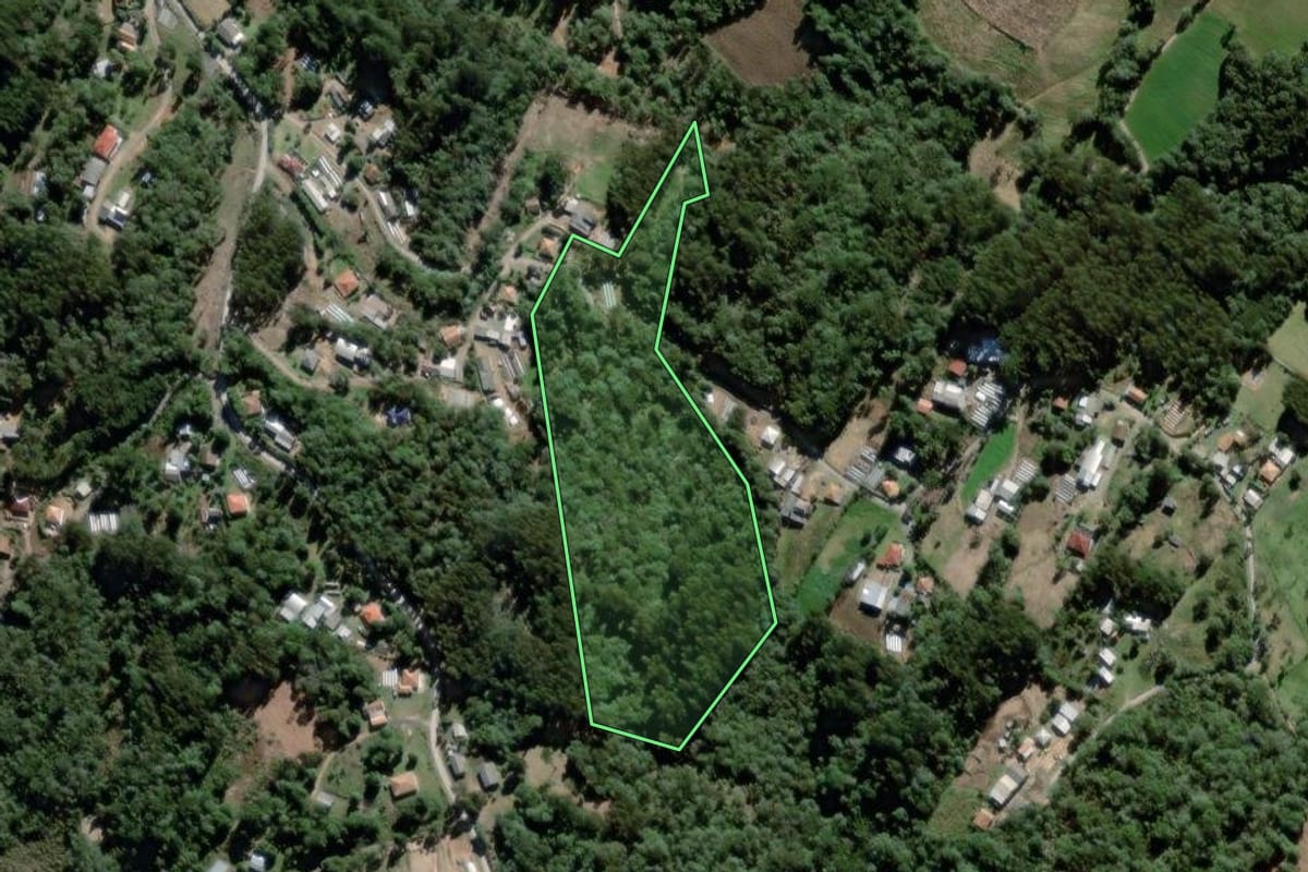 Imagem de satélite do imóvel rural em São João do Triunfo (PR), com o contorno declarado no CAR desenhado por cima.