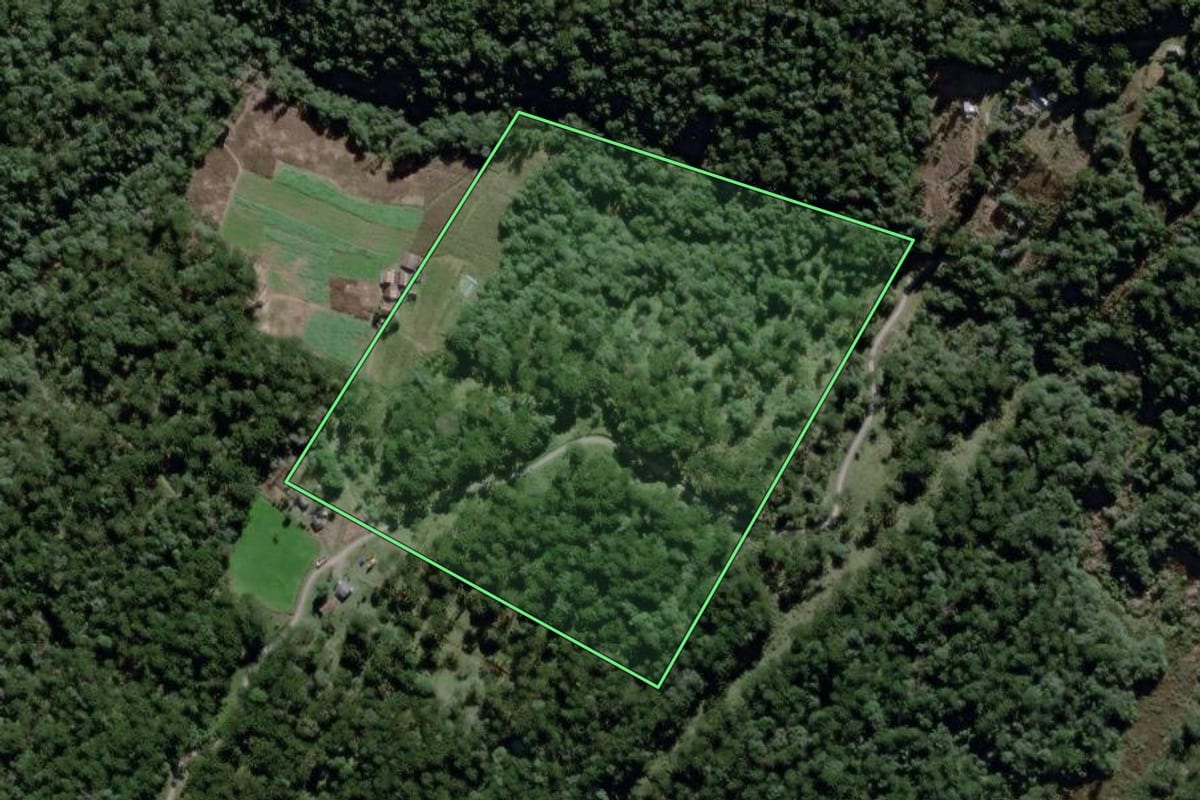 Imagem de satélite do imóvel rural em São João do Triunfo (PR), com o contorno declarado no CAR desenhado por cima.