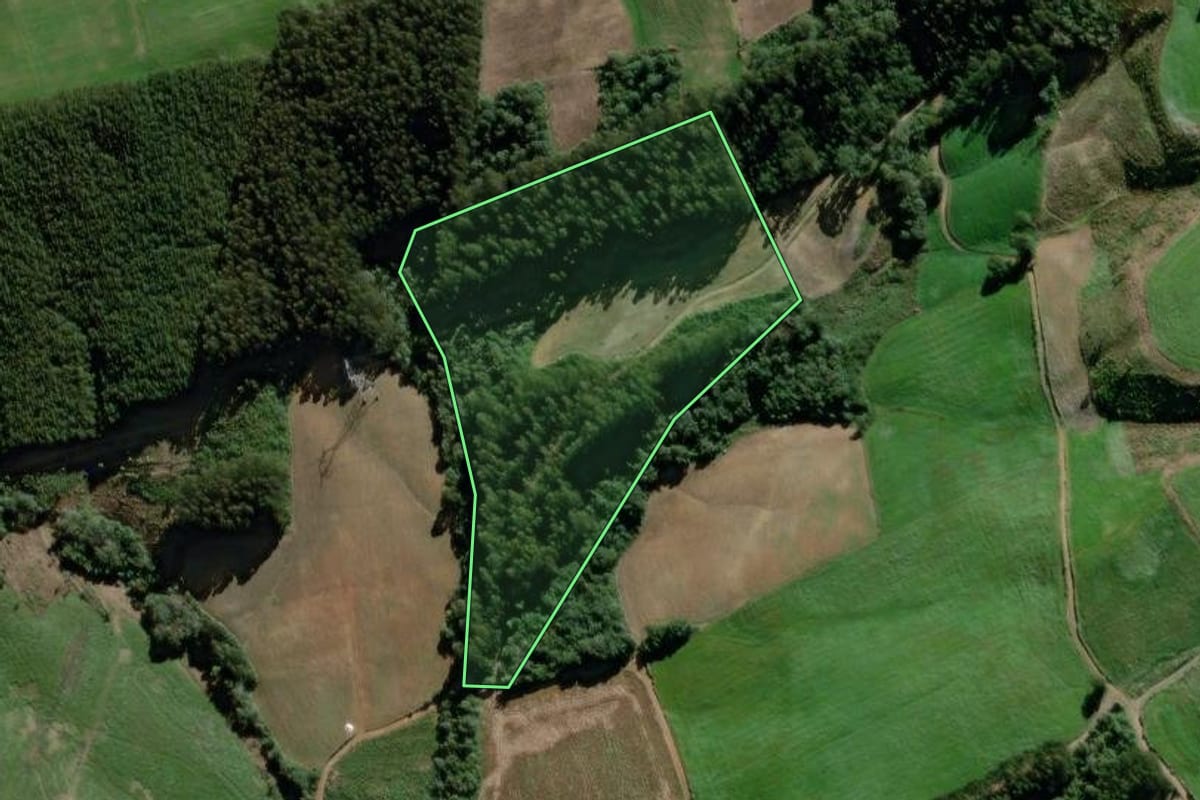 Imagem de satélite do imóvel rural em São João do Triunfo (PR), com o contorno declarado no CAR desenhado por cima.