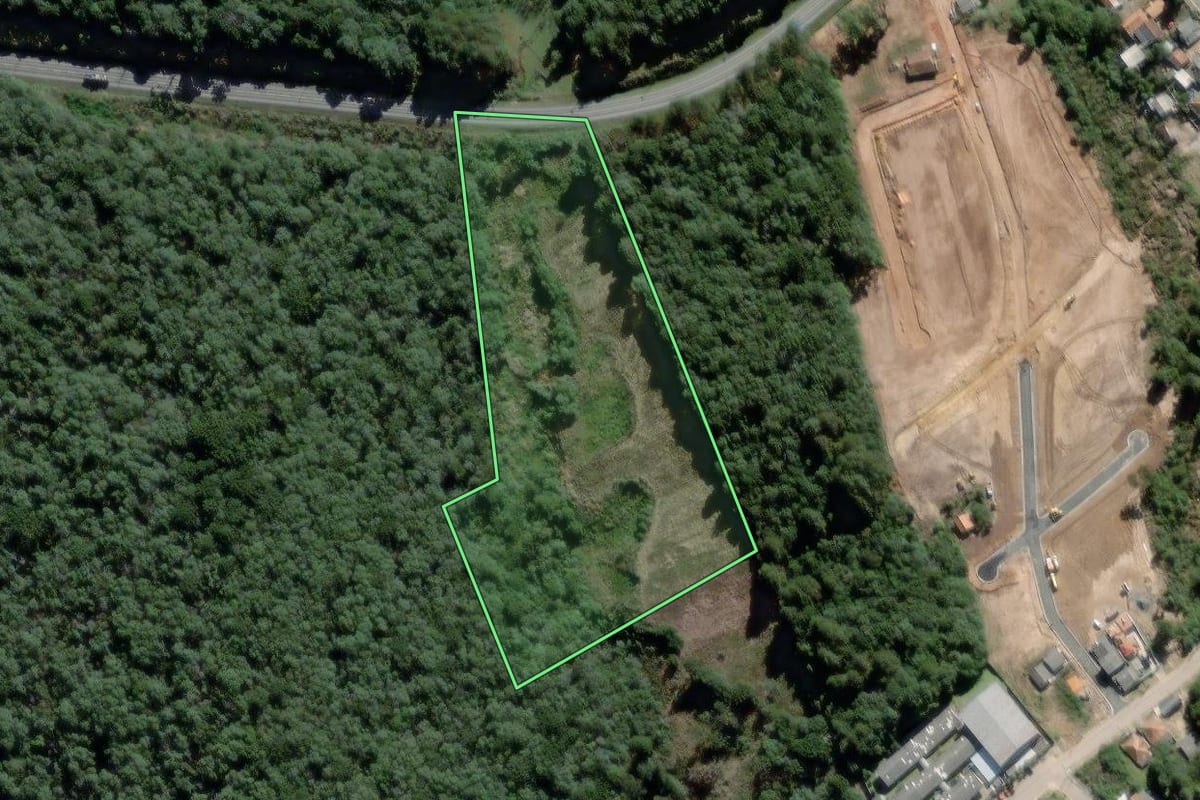 Imagem de satélite do imóvel rural em São João do Triunfo (PR), com o contorno declarado no CAR desenhado por cima.