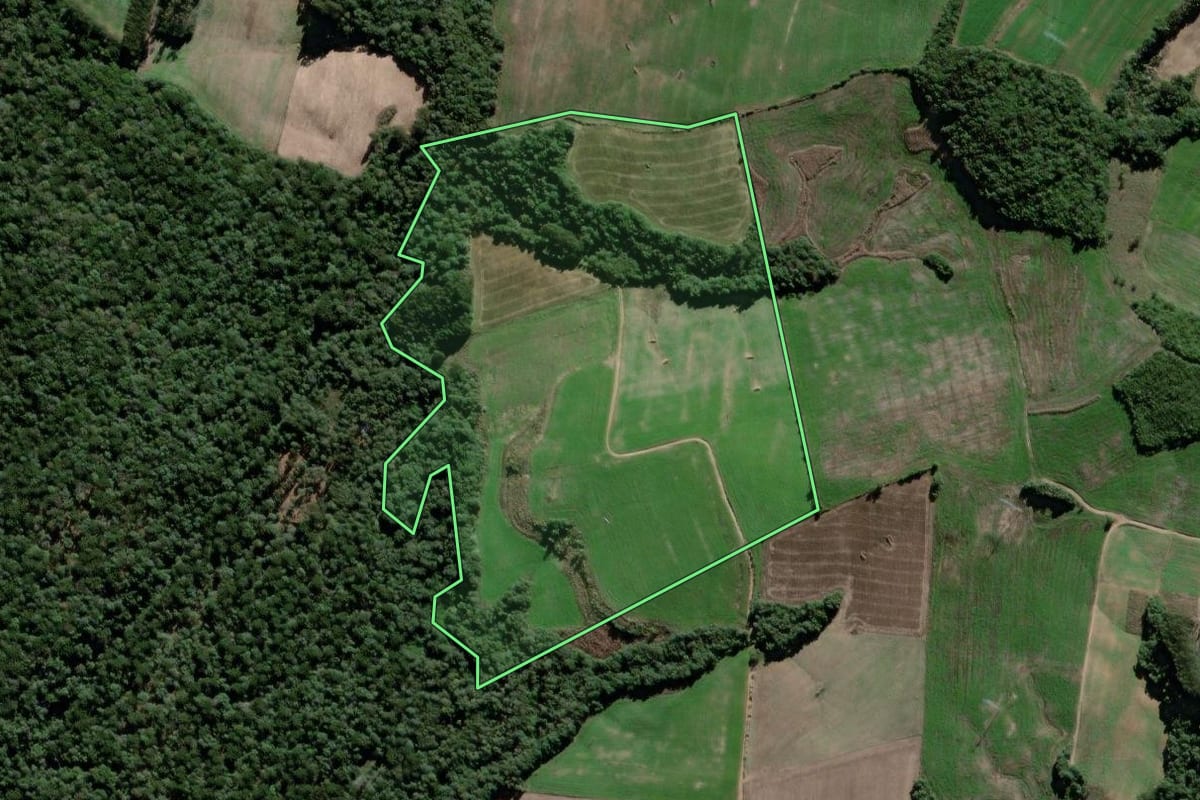 Imagem de satélite do imóvel rural em São João do Triunfo (PR), com o contorno declarado no CAR desenhado por cima.