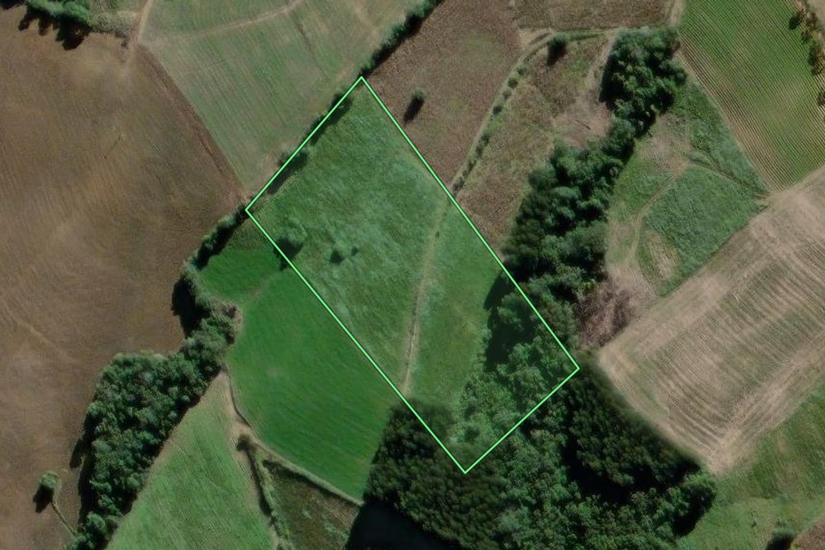 Imagem de satélite do imóvel rural em São João do Triunfo (PR), com o contorno declarado no CAR desenhado por cima.