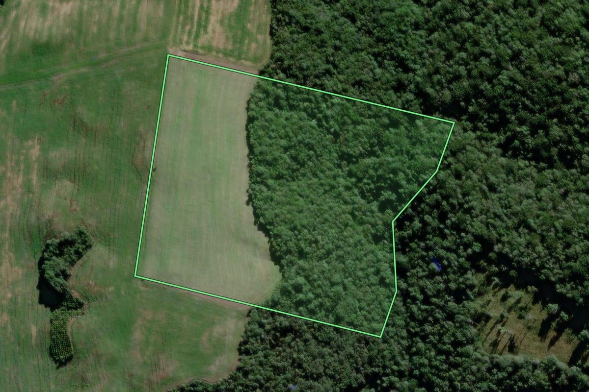 Imagem de satélite do imóvel rural em São João do Triunfo (PR), com o contorno declarado no CAR desenhado por cima.
