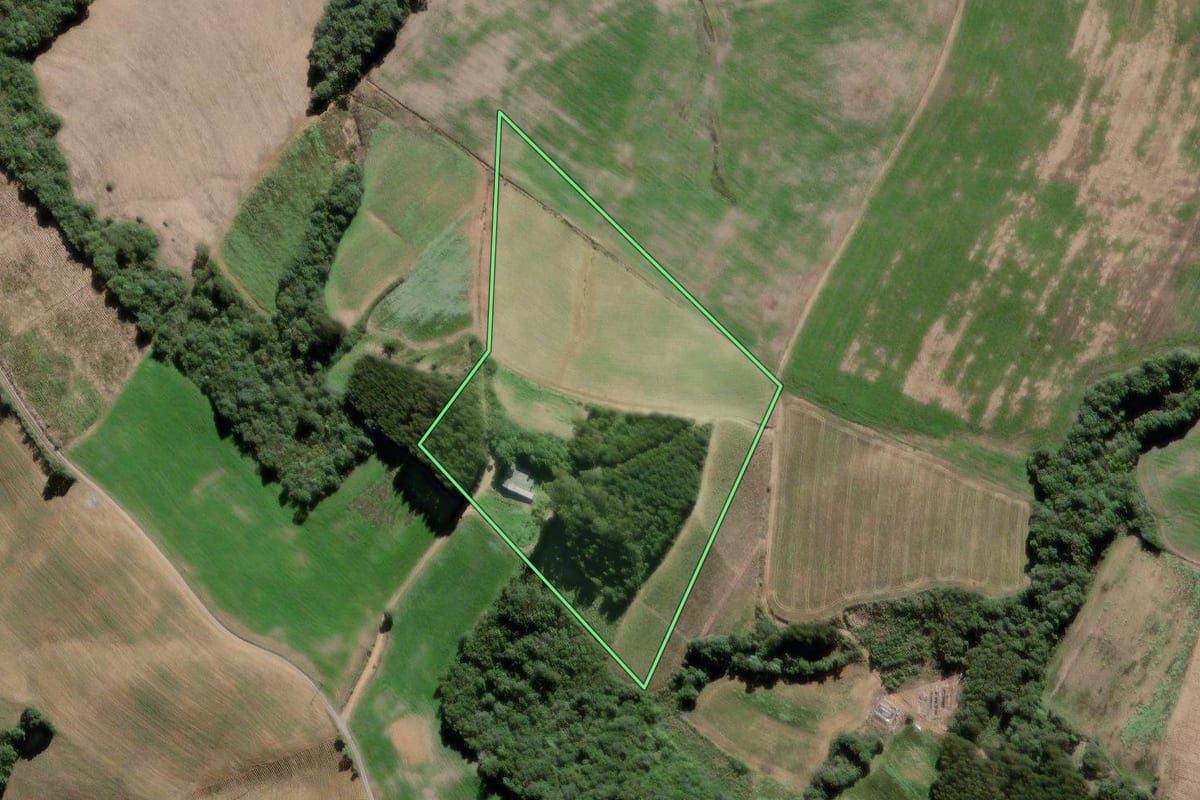 Imagem de satélite do imóvel rural em São João do Triunfo (PR), com o contorno declarado no CAR desenhado por cima.