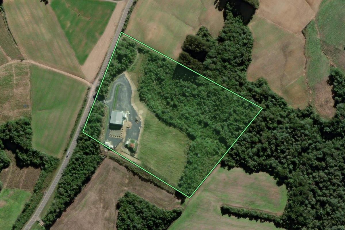 Imagem de satélite do imóvel rural em São João do Triunfo (PR), com o contorno declarado no CAR desenhado por cima.