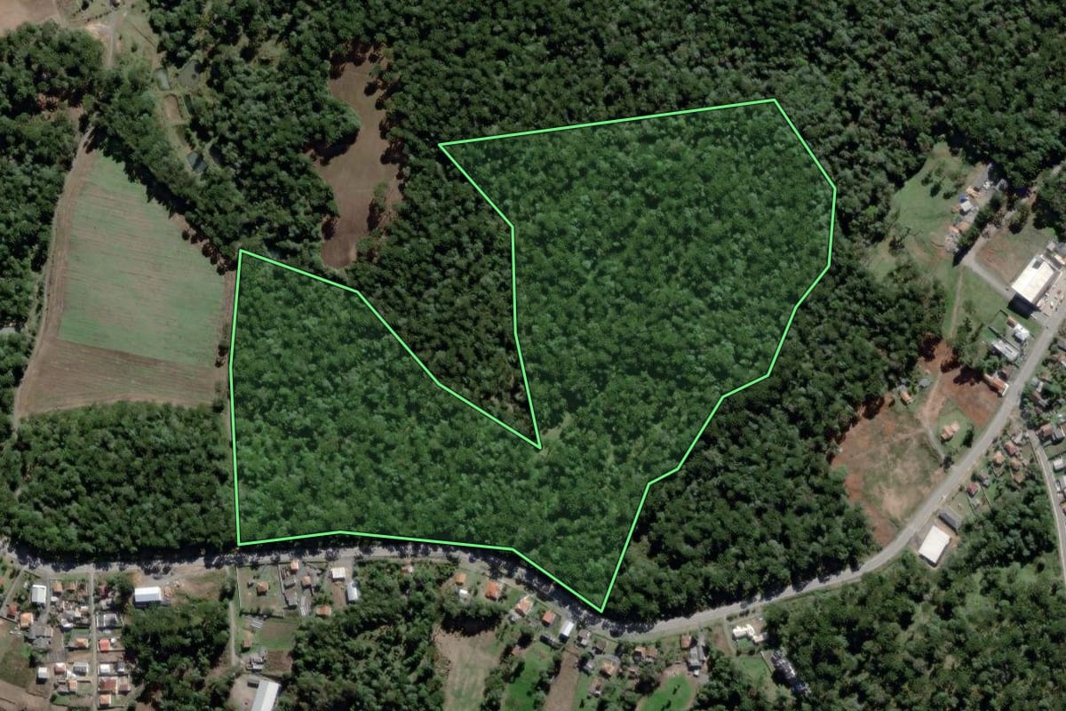 Imagem de satélite do imóvel rural em São João do Triunfo (PR), com o contorno declarado no CAR desenhado por cima.