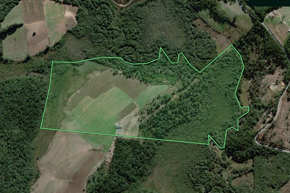 Imagem de satélite do imóvel rural em São João do Triunfo (PR), com o contorno declarado no CAR desenhado por cima.