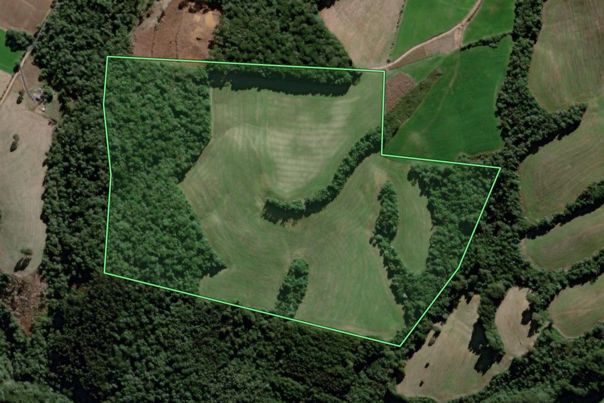 Imagem de satélite do imóvel rural em São João do Triunfo (PR), com o contorno declarado no CAR desenhado por cima.
