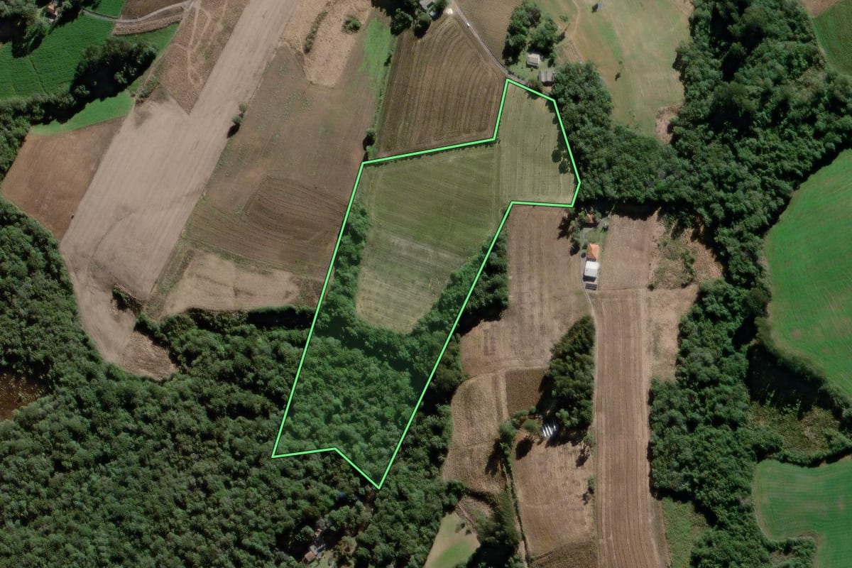 Imagem de satélite do imóvel rural em São João do Triunfo (PR), com o contorno declarado no CAR desenhado por cima.