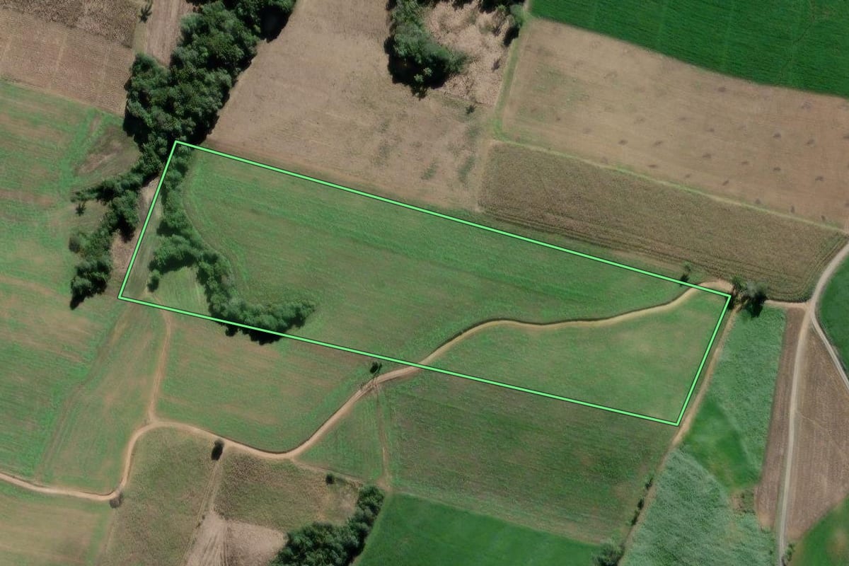 Imagem de satélite do imóvel rural em São João do Triunfo (PR), com o contorno declarado no CAR desenhado por cima.