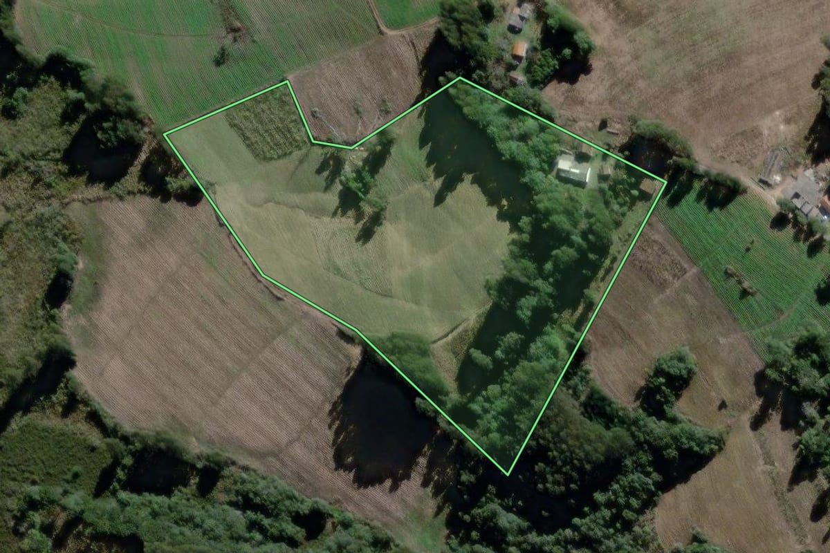 Imagem de satélite do imóvel rural em São João do Triunfo (PR), com o contorno declarado no CAR desenhado por cima.