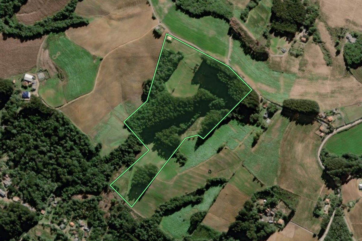 Imagem de satélite do imóvel rural em São João do Triunfo (PR), com o contorno declarado no CAR desenhado por cima.