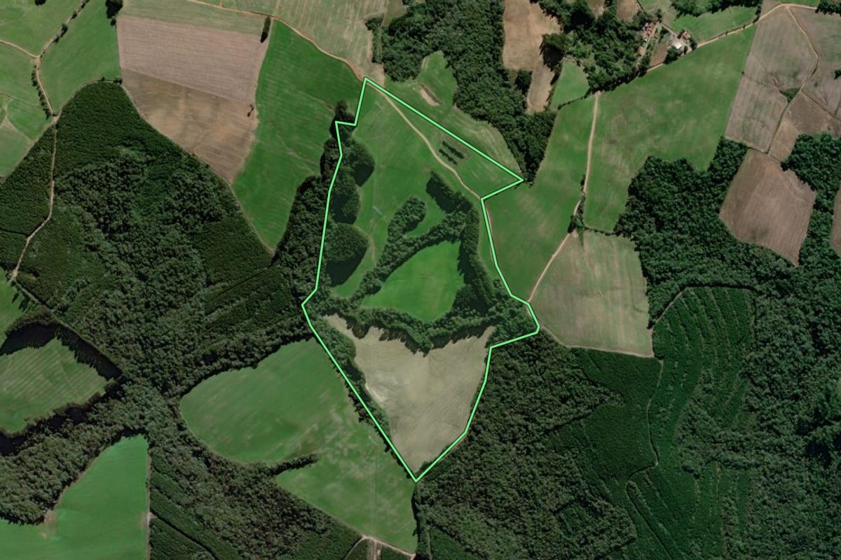 Imagem de satélite do imóvel rural em São João do Triunfo (PR), com o contorno declarado no CAR desenhado por cima.