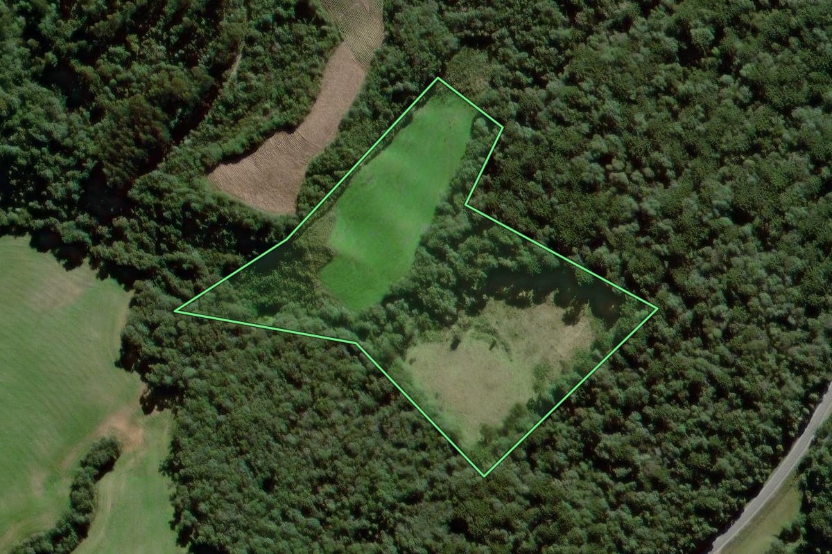 Imagem de satélite do imóvel rural em São João do Triunfo (PR), com o contorno declarado no CAR desenhado por cima.