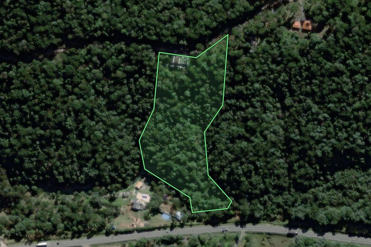 Imagem de satélite do imóvel rural em São João do Triunfo (PR), com o contorno declarado no CAR desenhado por cima.