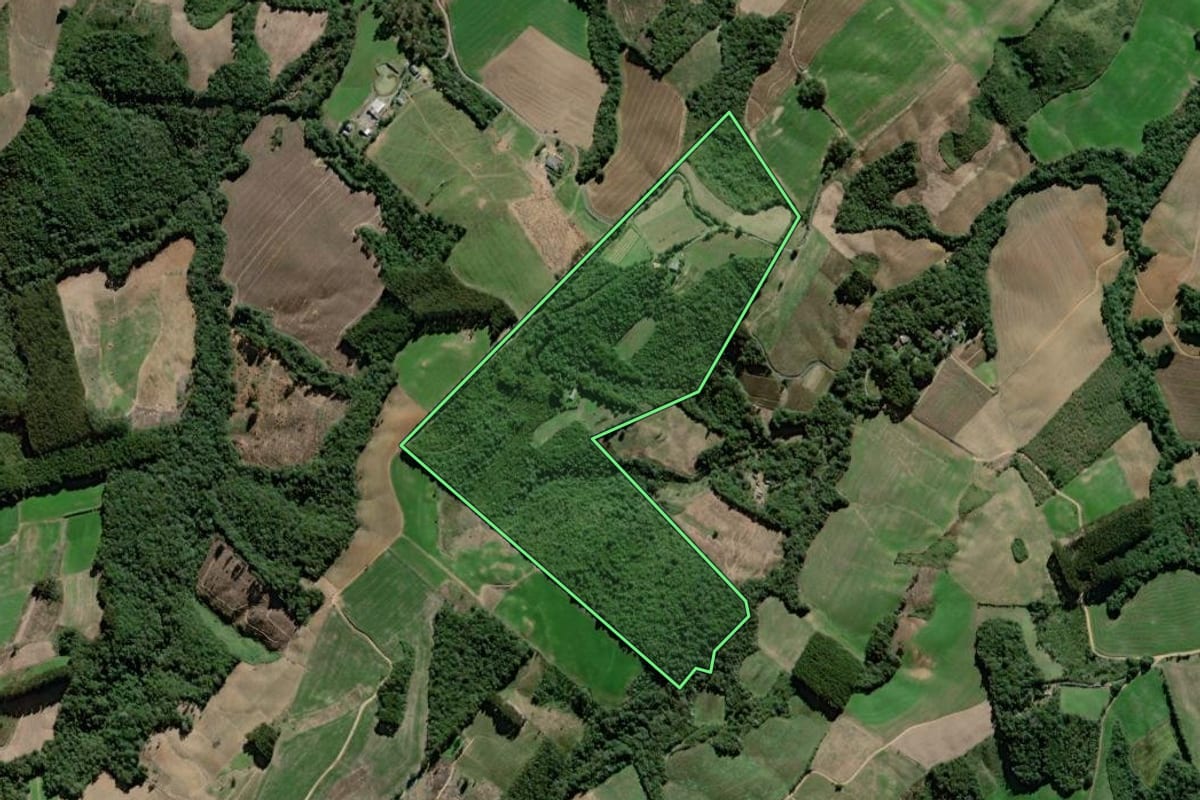 Imagem de satélite do imóvel rural em São João do Triunfo (PR), com o contorno declarado no CAR desenhado por cima.