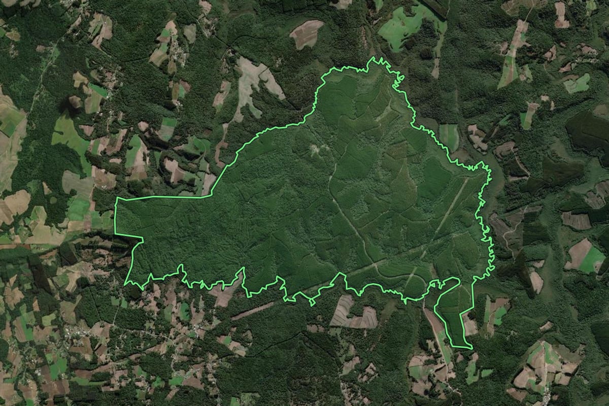 Imagem de satélite do imóvel rural em São João do Triunfo (PR), com o contorno declarado no CAR desenhado por cima.