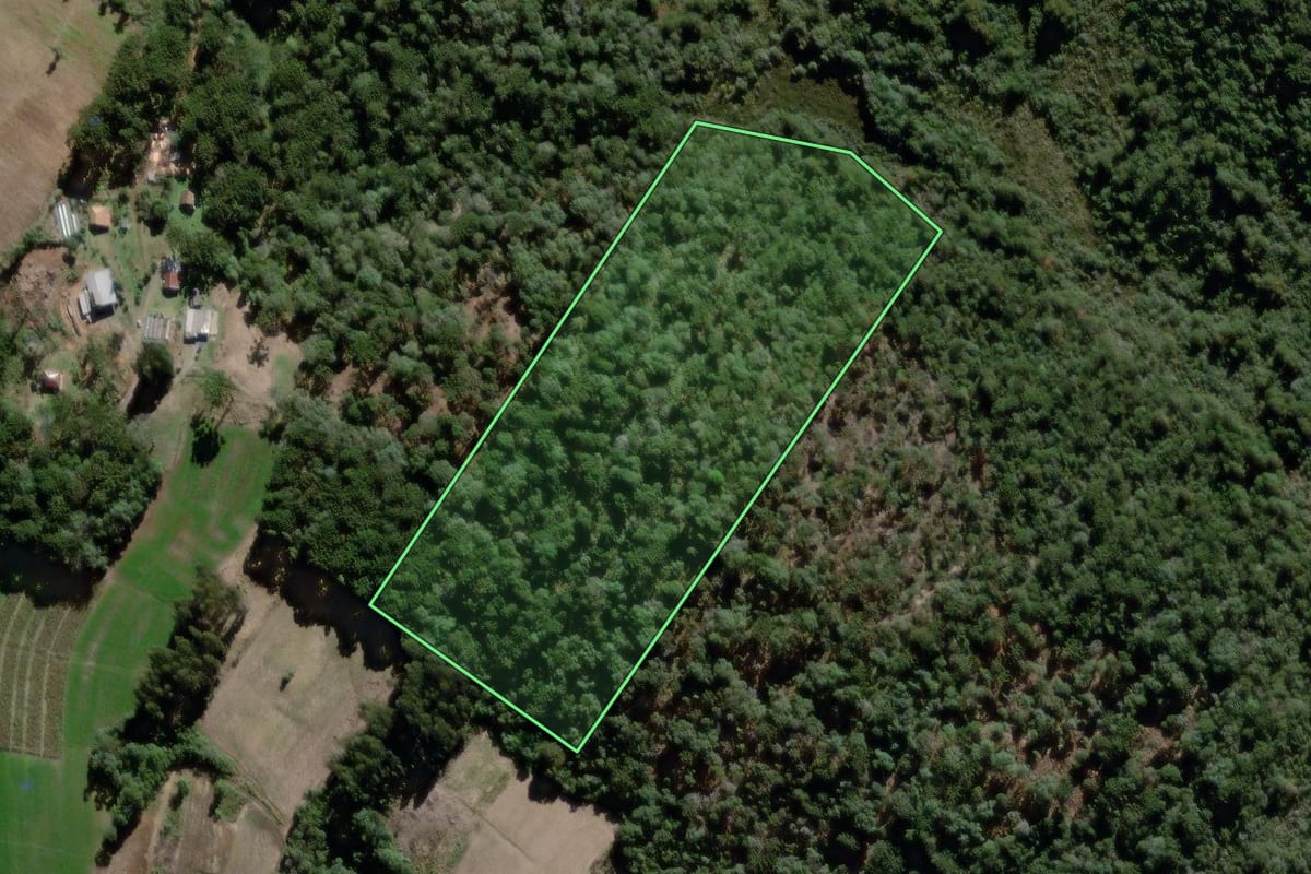 Imagem de satélite do imóvel rural em São João do Triunfo (PR), com o contorno declarado no CAR desenhado por cima.