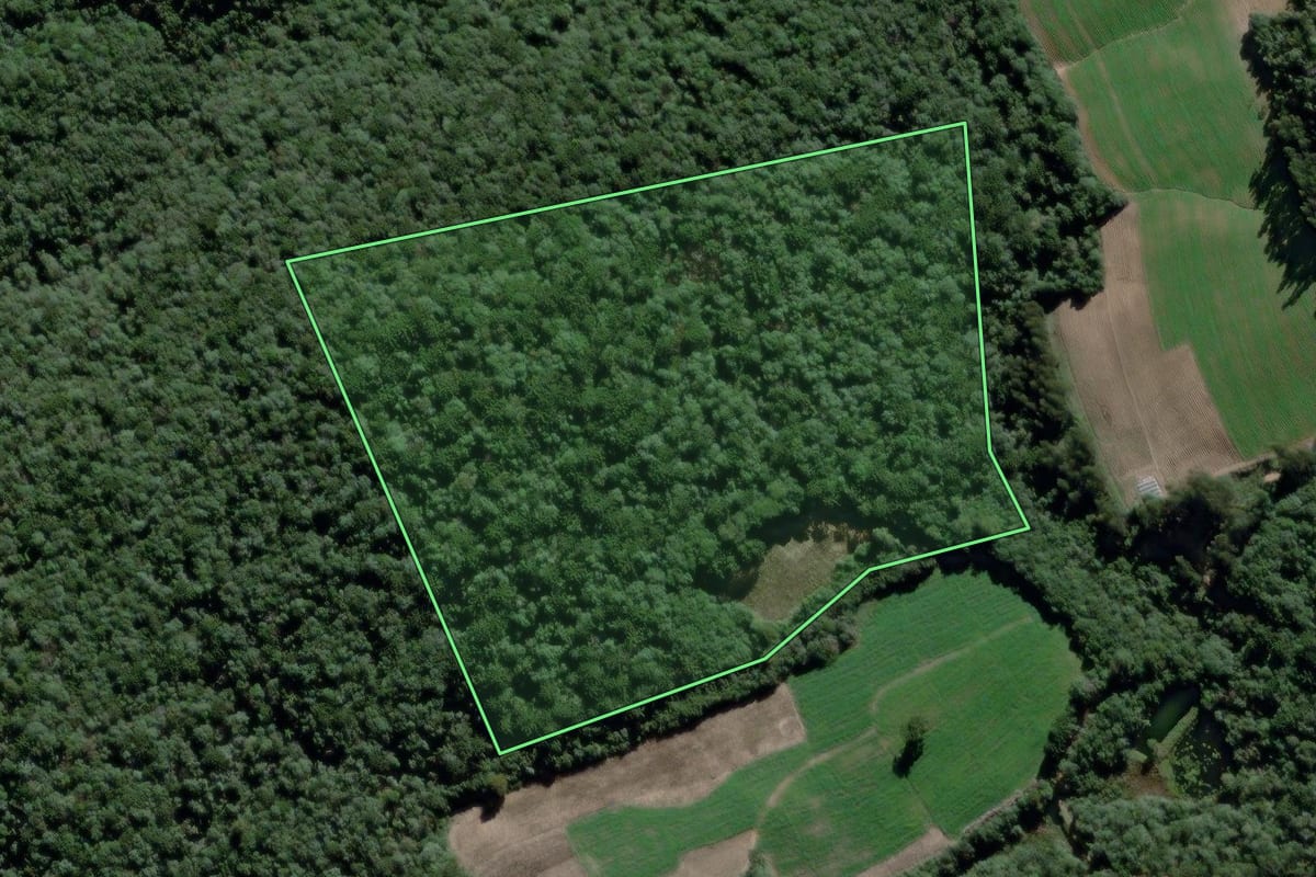 Imagem de satélite do imóvel rural em São João do Triunfo (PR), com o contorno declarado no CAR desenhado por cima.