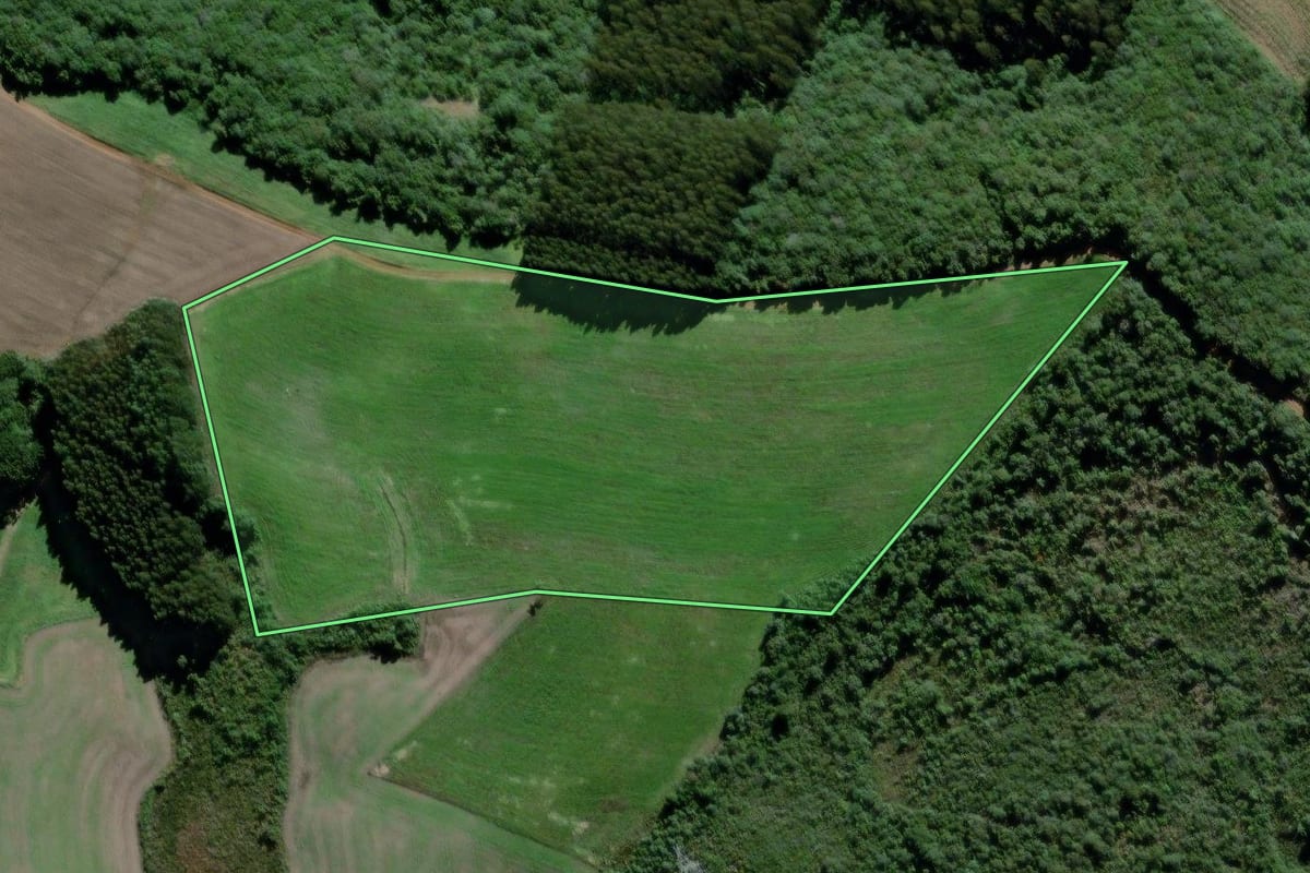 Imagem de satélite do imóvel rural em São João do Triunfo (PR), com o contorno declarado no CAR desenhado por cima.