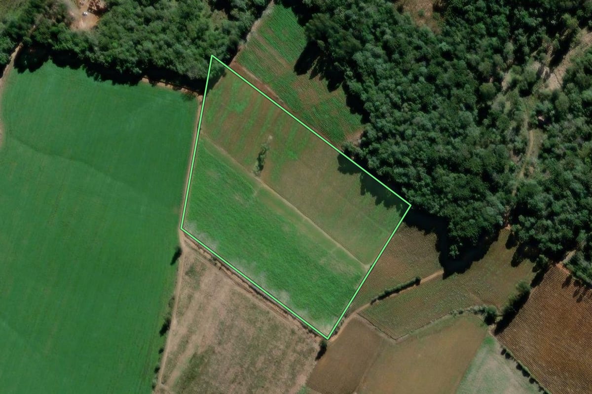 Imagem de satélite do imóvel rural em São João do Triunfo (PR), com o contorno declarado no CAR desenhado por cima.