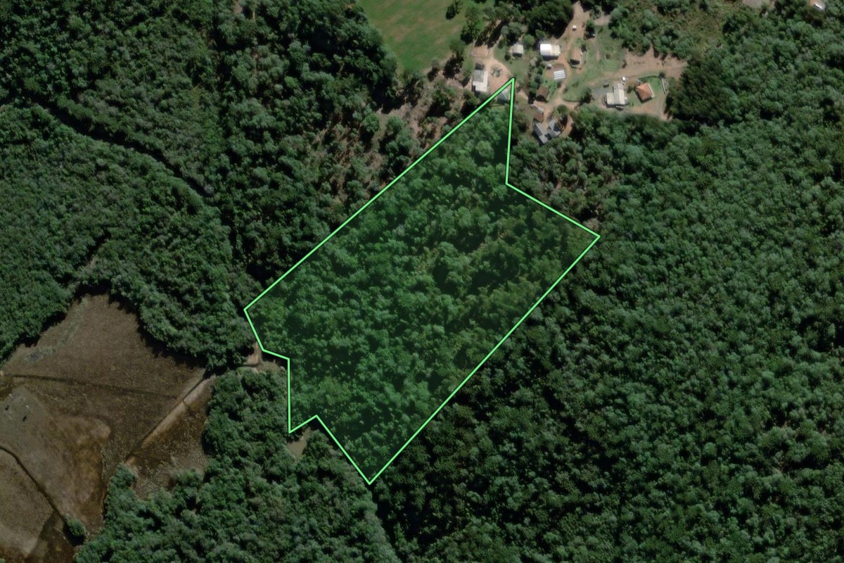 Imagem de satélite do imóvel rural em São João do Triunfo (PR), com o contorno declarado no CAR desenhado por cima.