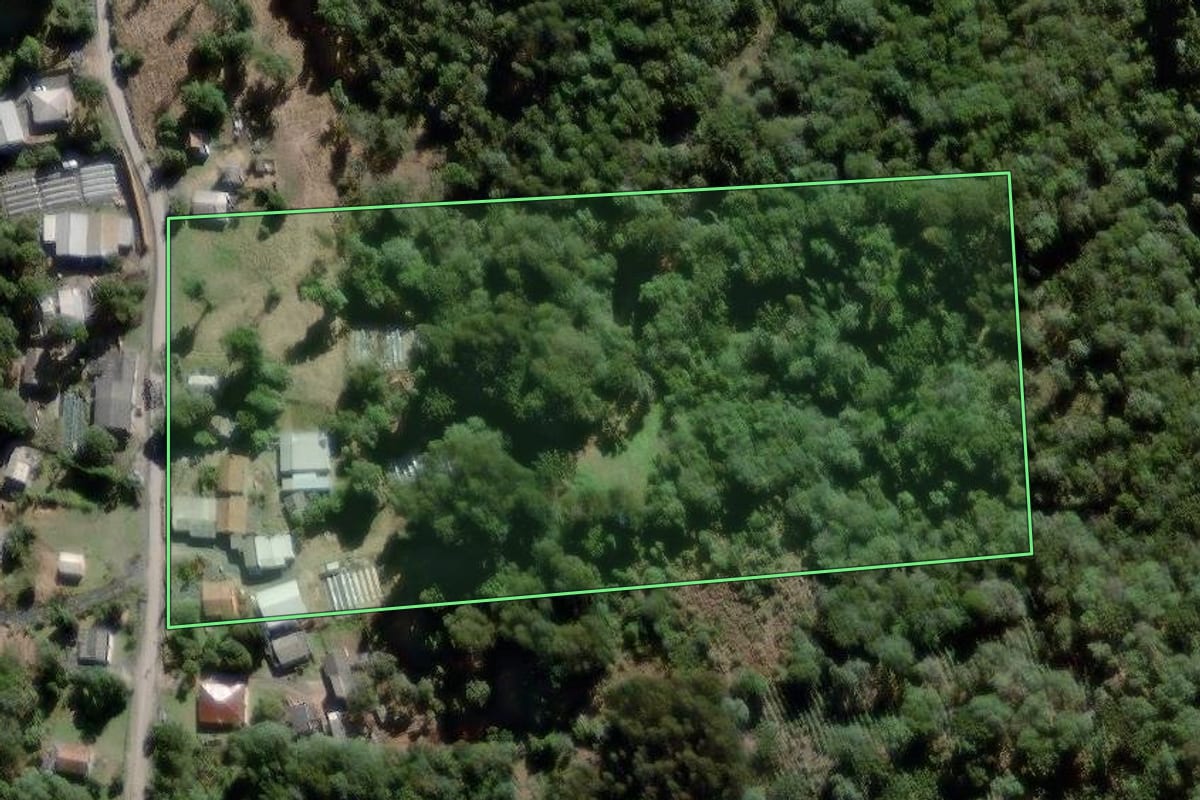 Imagem de satélite do imóvel rural em São João do Triunfo (PR), com o contorno declarado no CAR desenhado por cima.