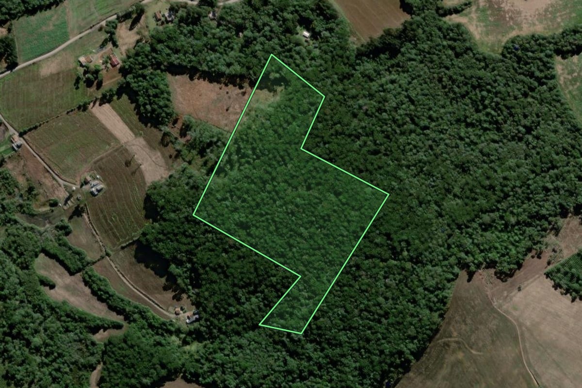 Imagem de satélite do imóvel rural em São João do Triunfo (PR), com o contorno declarado no CAR desenhado por cima.