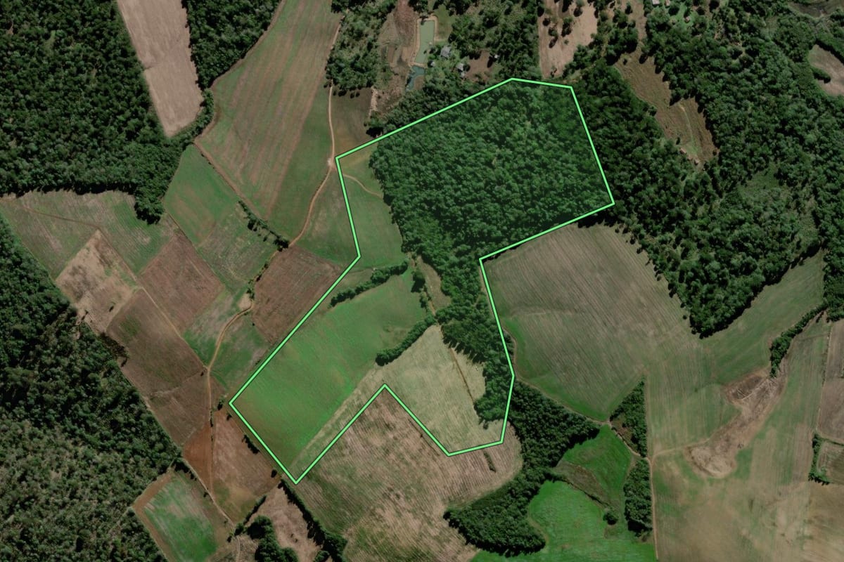 Imagem de satélite do imóvel rural em São João do Triunfo (PR), com o contorno declarado no CAR desenhado por cima.