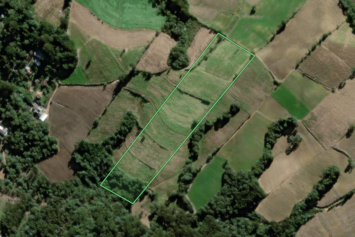 Imagem de satélite do imóvel rural em São João do Triunfo (PR), com o contorno declarado no CAR desenhado por cima.