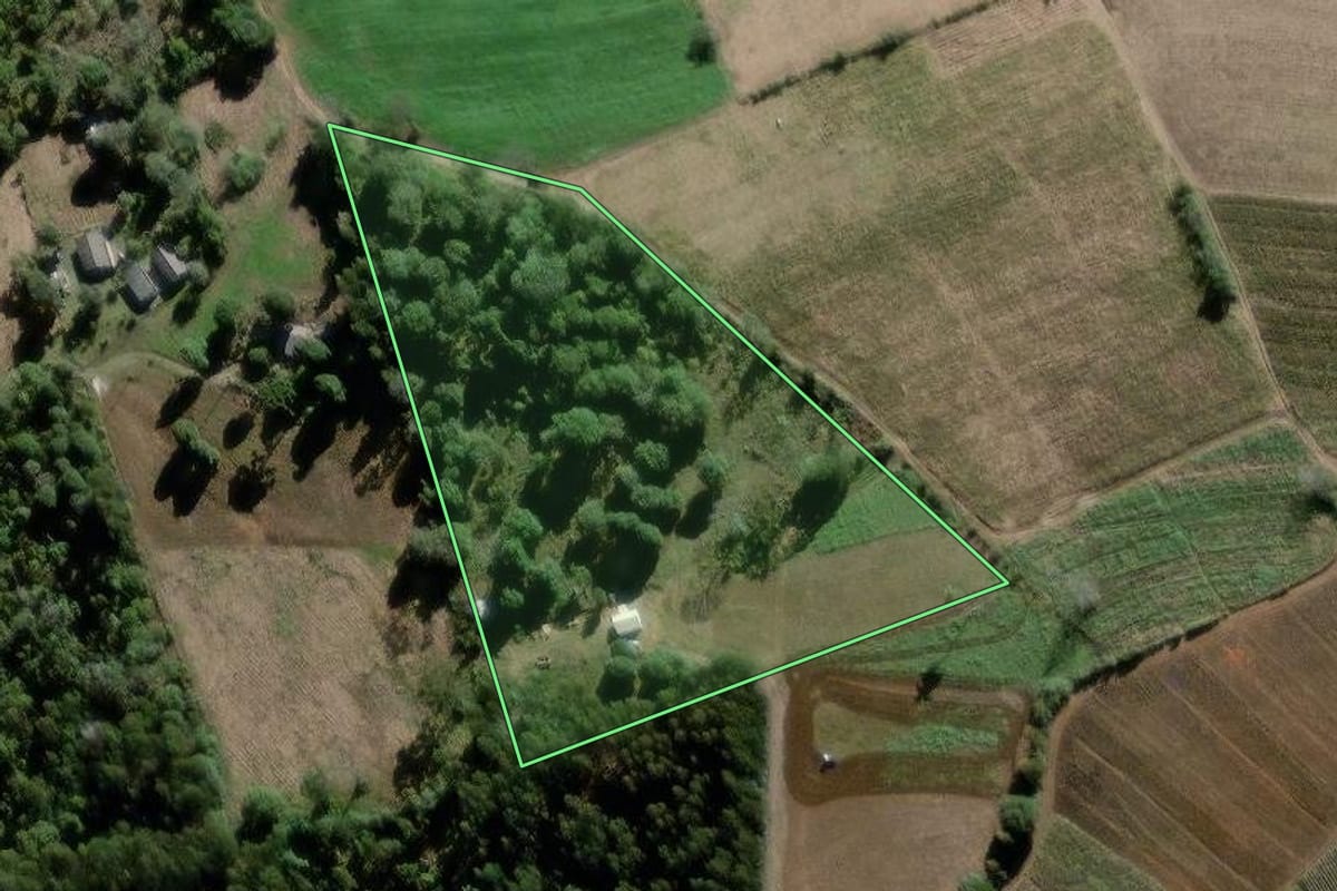 Imagem de satélite do imóvel rural em São João do Triunfo (PR), com o contorno declarado no CAR desenhado por cima.