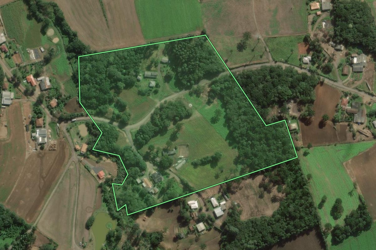 Imagem de satélite do imóvel rural em São João do Triunfo (PR), com o contorno declarado no CAR desenhado por cima.