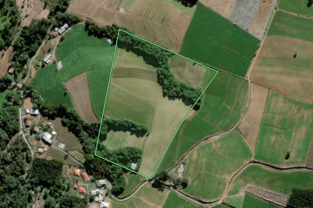 Imagem de satélite do imóvel rural em São João do Triunfo (PR), com o contorno declarado no CAR desenhado por cima.