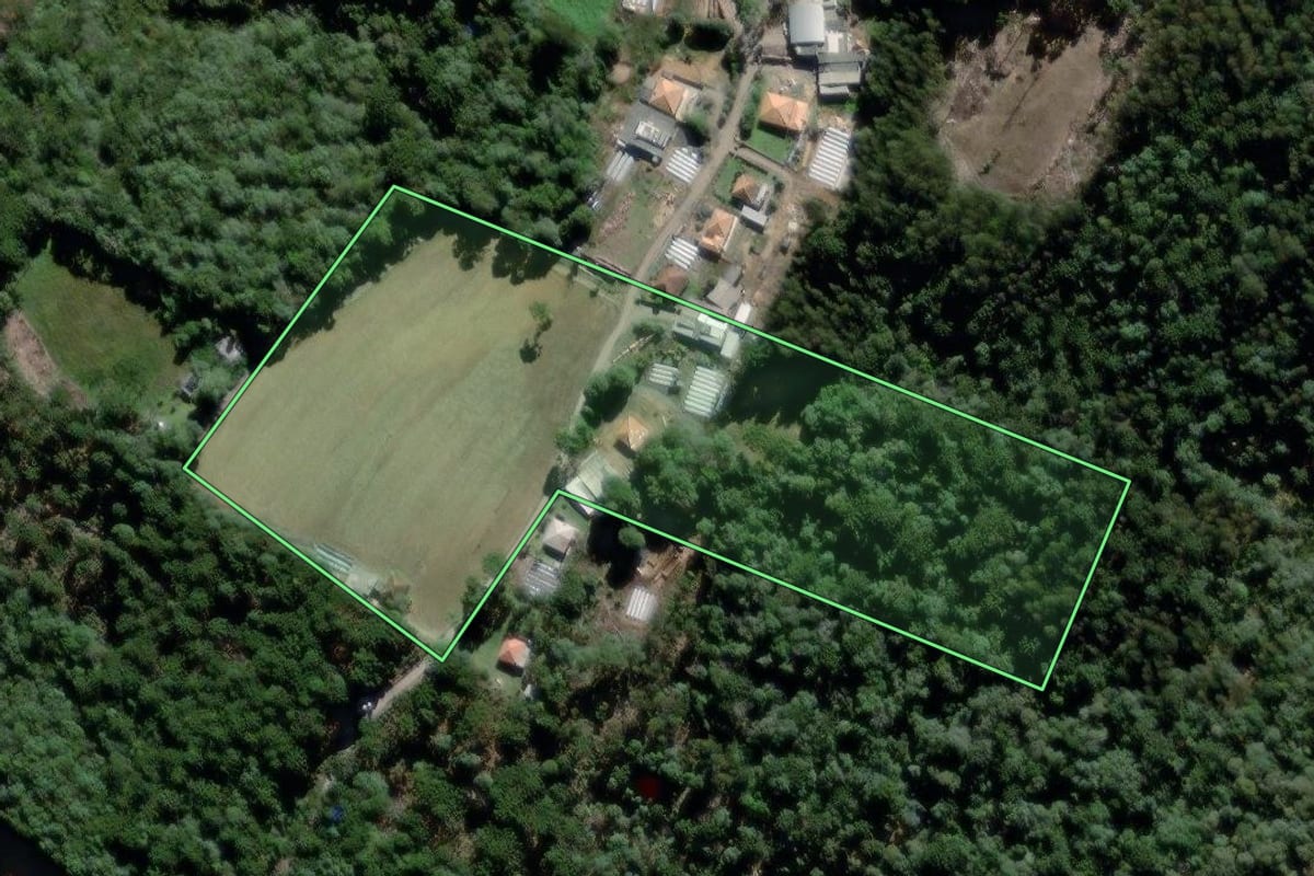 Imagem de satélite do imóvel rural em São João do Triunfo (PR), com o contorno declarado no CAR desenhado por cima.