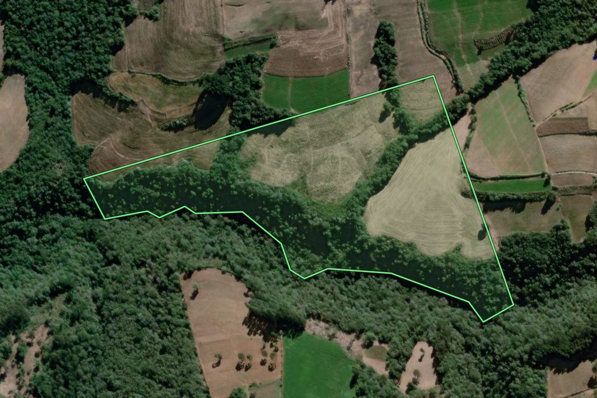 Imagem de satélite do imóvel rural em São João do Triunfo (PR), com o contorno declarado no CAR desenhado por cima.