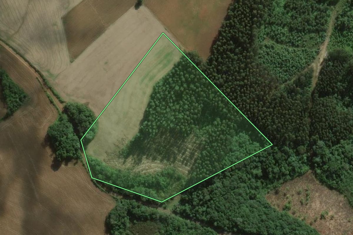 Imagem de satélite do imóvel rural em São João do Triunfo (PR), com o contorno declarado no CAR desenhado por cima.