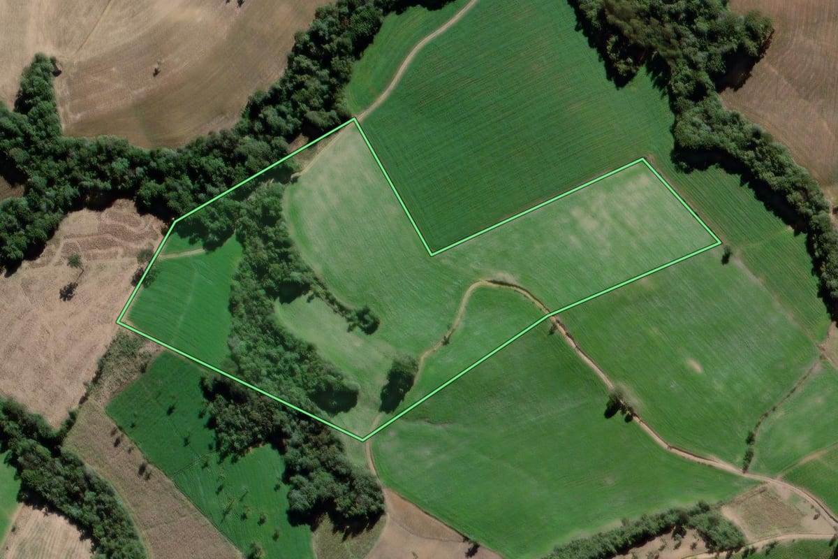 Imagem de satélite do imóvel rural em São João do Triunfo (PR), com o contorno declarado no CAR desenhado por cima.