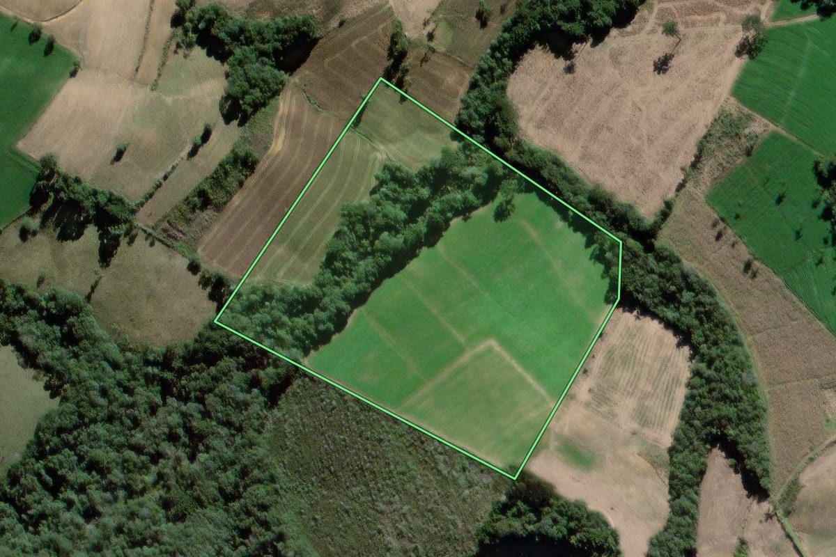 Imagem de satélite do imóvel rural em São João do Triunfo (PR), com o contorno declarado no CAR desenhado por cima.