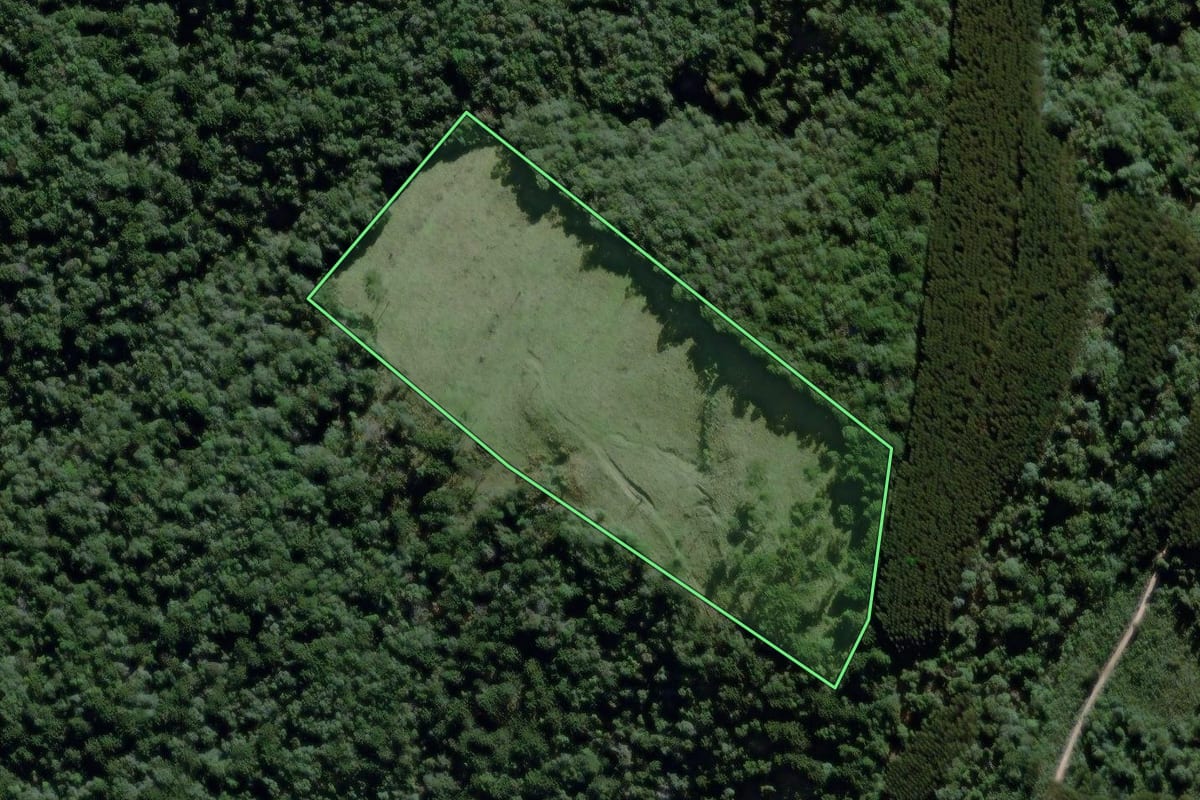Imagem de satélite do imóvel rural em São João do Triunfo (PR), com o contorno declarado no CAR desenhado por cima.