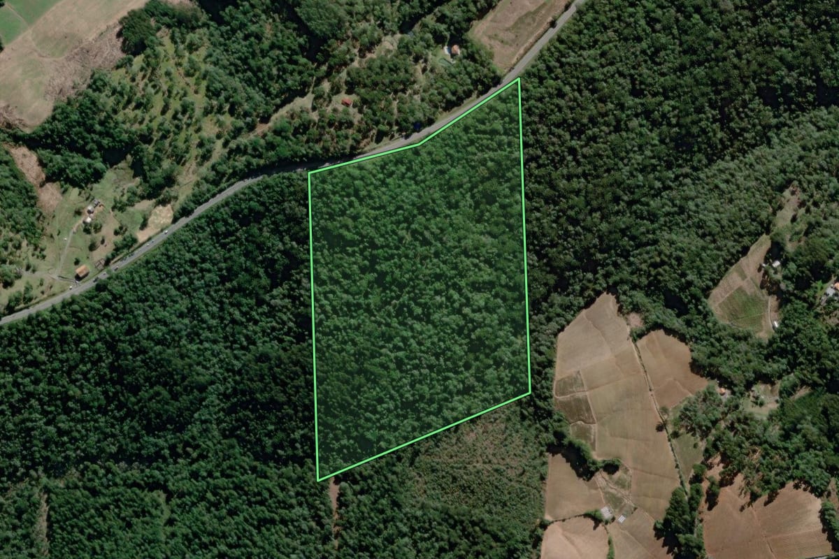 Imagem de satélite do imóvel rural em São João do Triunfo (PR), com o contorno declarado no CAR desenhado por cima.