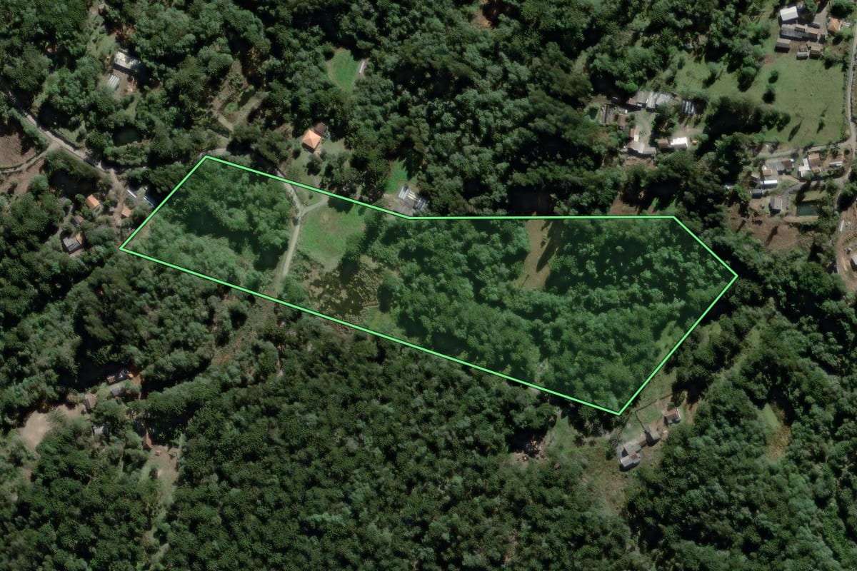Imagem de satélite do imóvel rural em São João do Triunfo (PR), com o contorno declarado no CAR desenhado por cima.