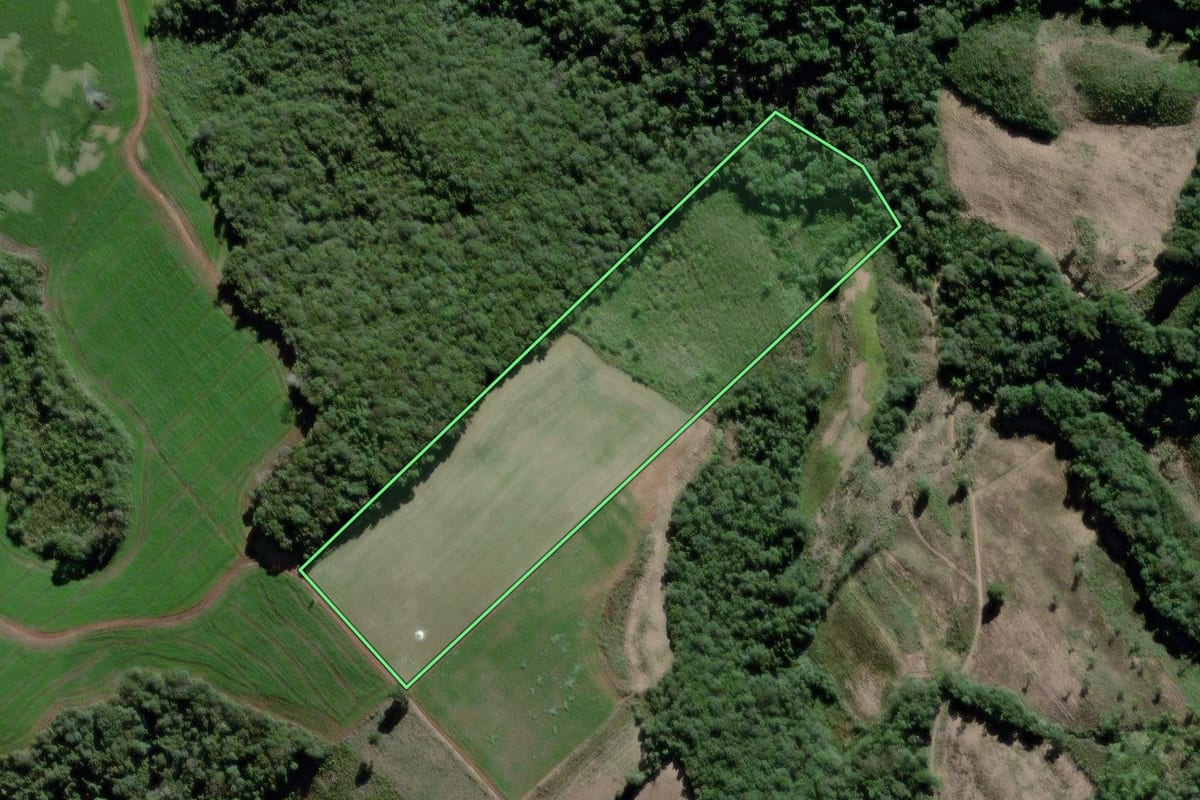 Imagem de satélite do imóvel rural em São João do Triunfo (PR), com o contorno declarado no CAR desenhado por cima.