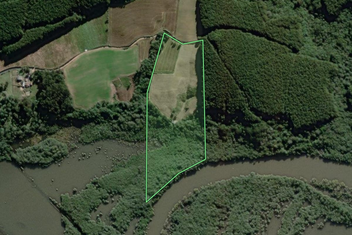 Imagem de satélite do imóvel rural em São João do Triunfo (PR), com o contorno declarado no CAR desenhado por cima.