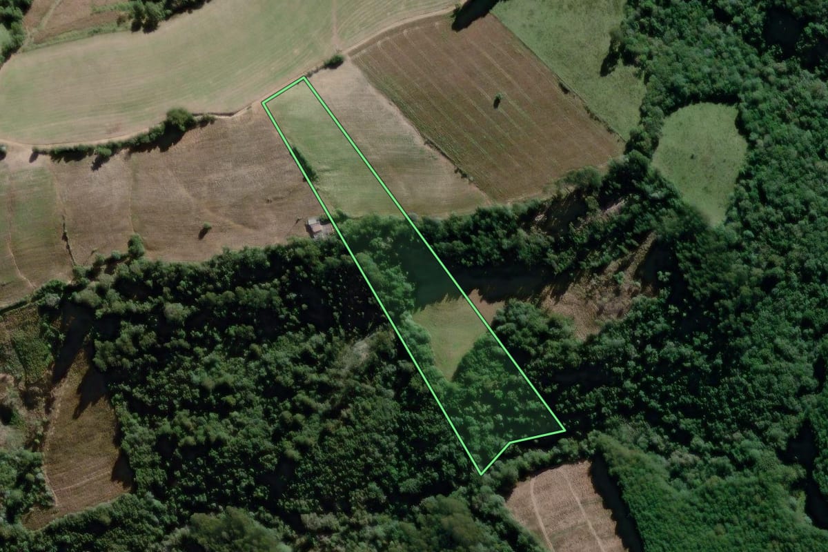 Imagem de satélite do imóvel rural em São João do Triunfo (PR), com o contorno declarado no CAR desenhado por cima.