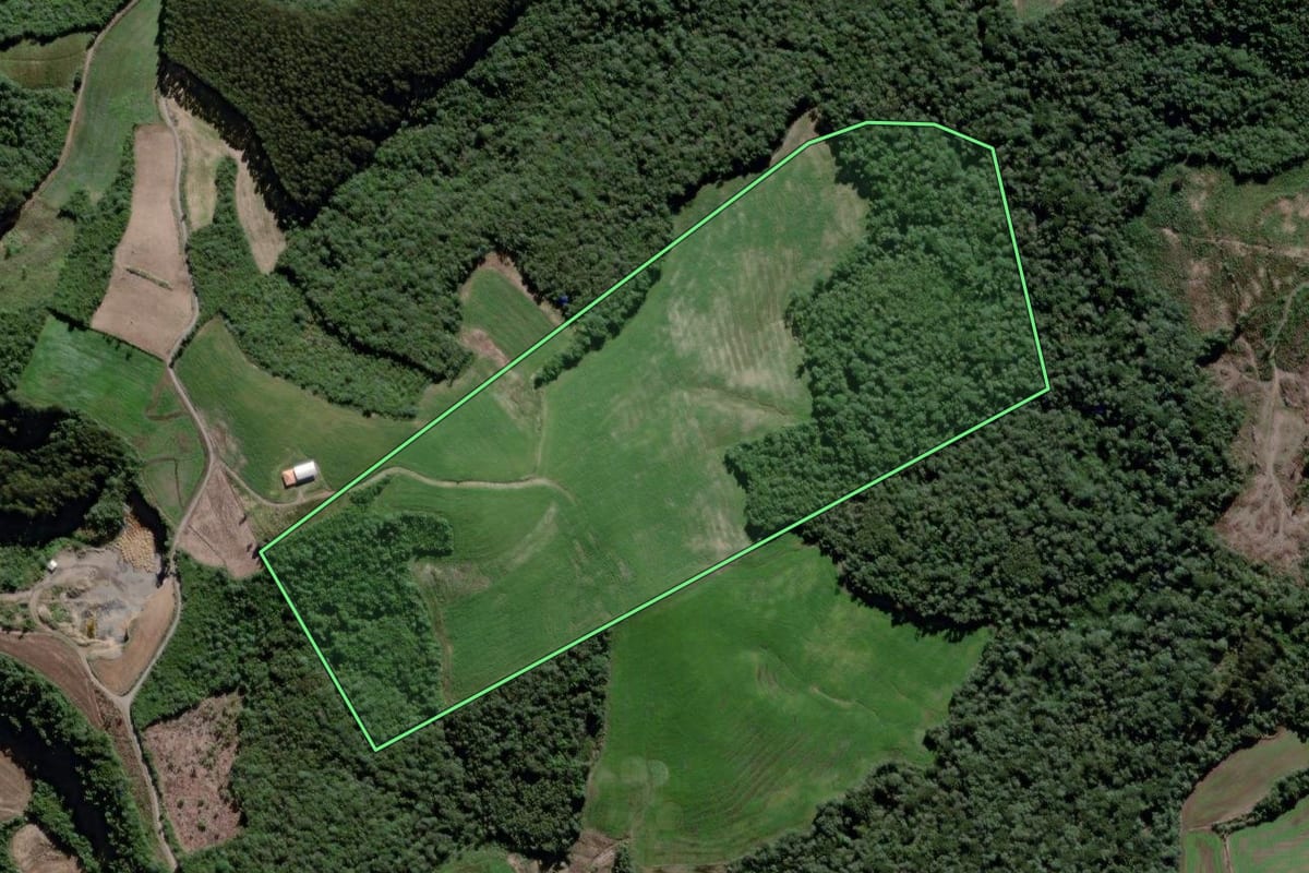 Imagem de satélite do imóvel rural em São João do Triunfo (PR), com o contorno declarado no CAR desenhado por cima.