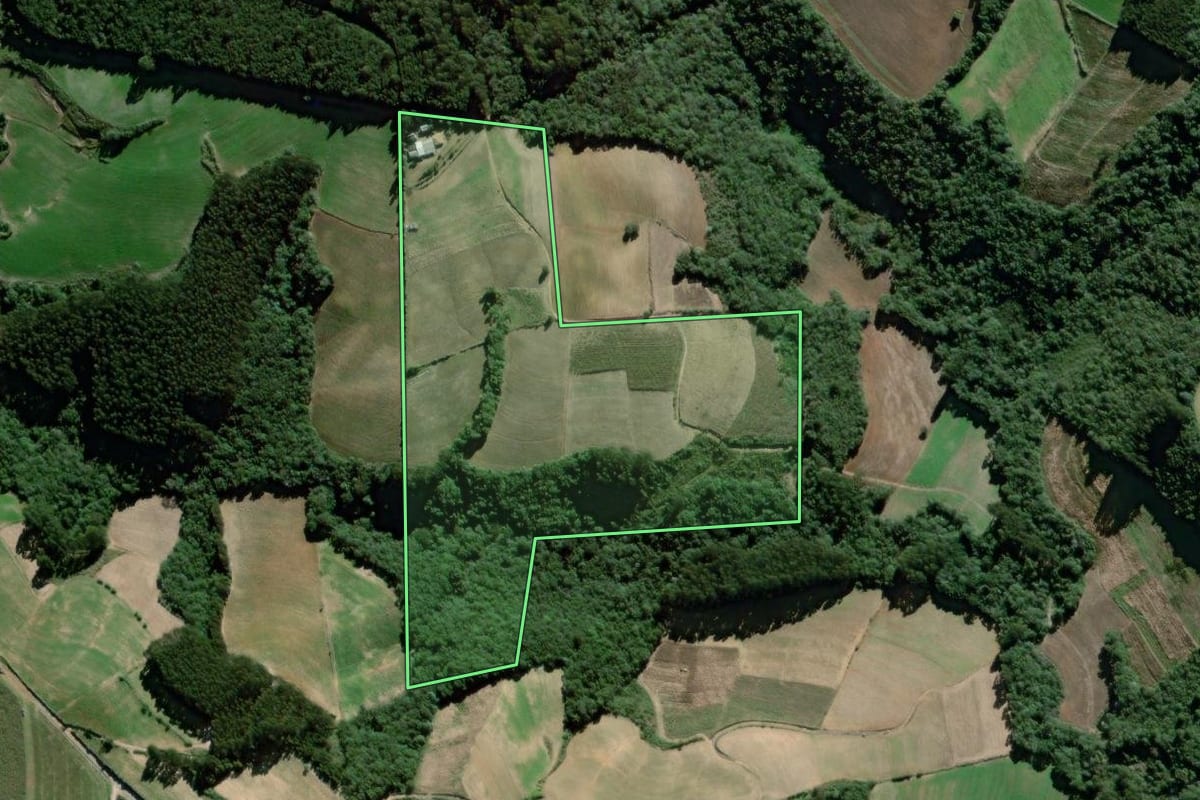 Imagem de satélite do imóvel rural em São João do Triunfo (PR), com o contorno declarado no CAR desenhado por cima.